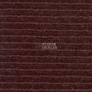 Ковролин Radici Solo Espresso 4844 фото 1 | FLOORDEALER